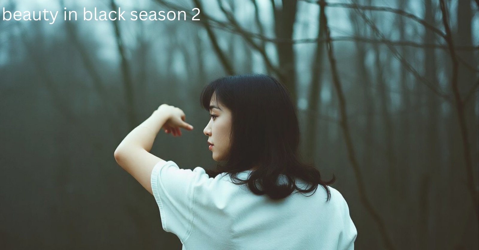 beauty in black season 2