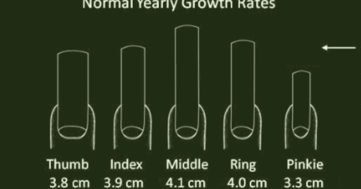 how long does it take for nails to grow